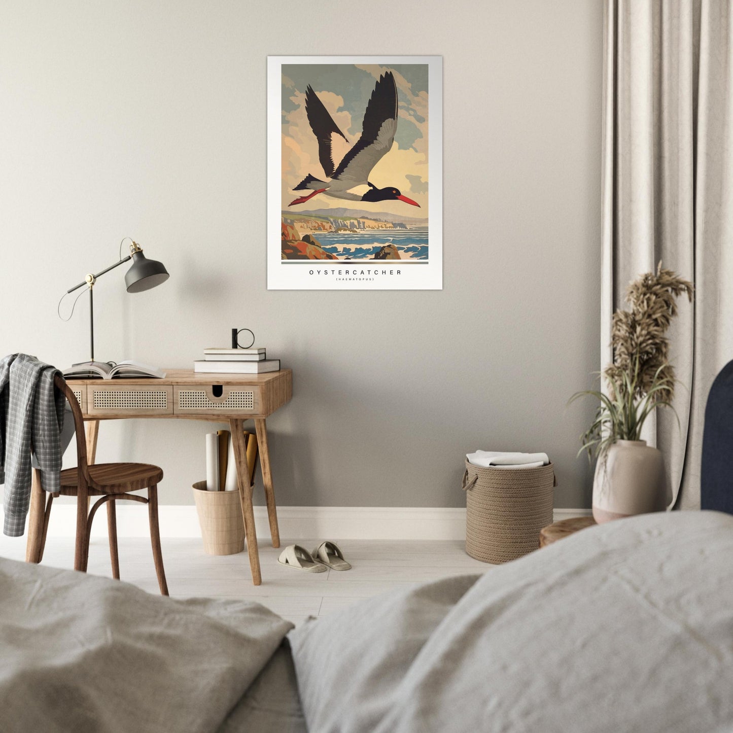 Arctic animals, oystercatcher
