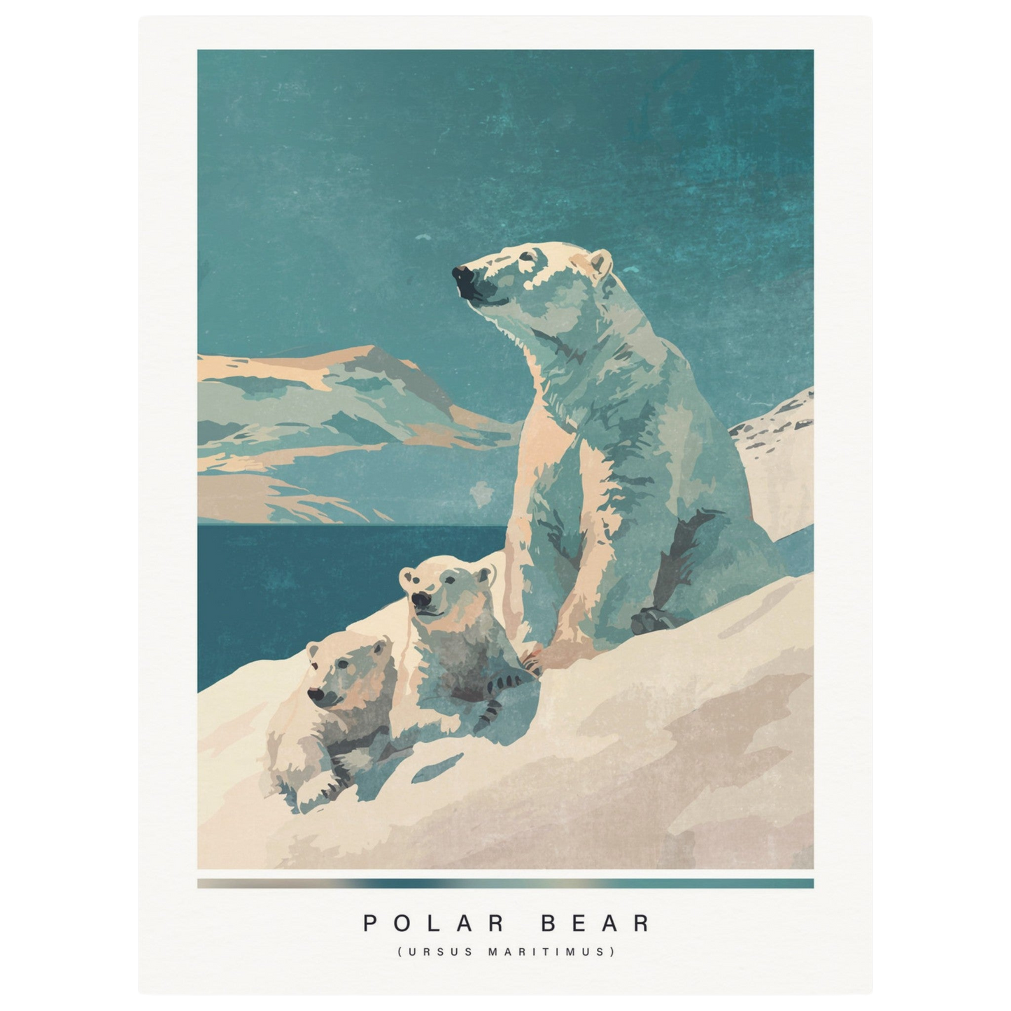 Arctic animals, polar bear