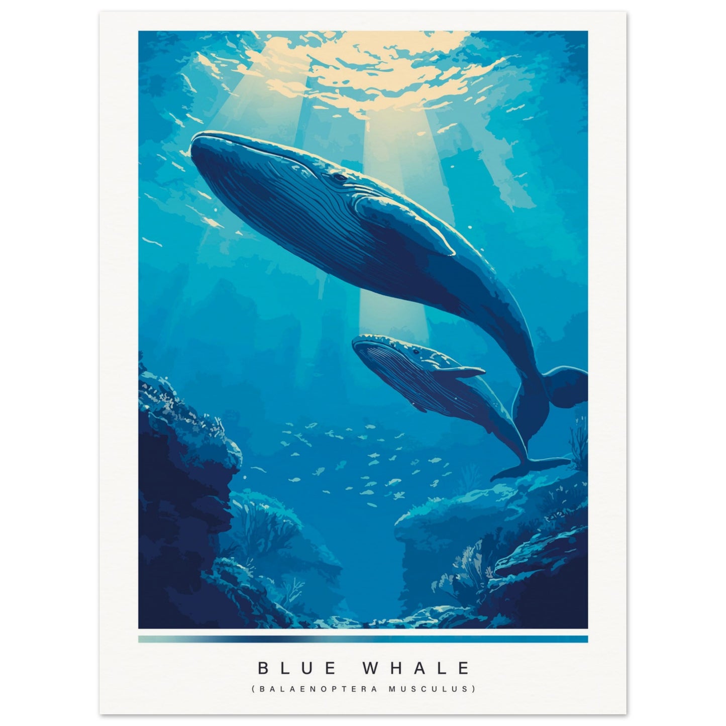 Poster of a blue whale underwater with sunlight filtering through water.