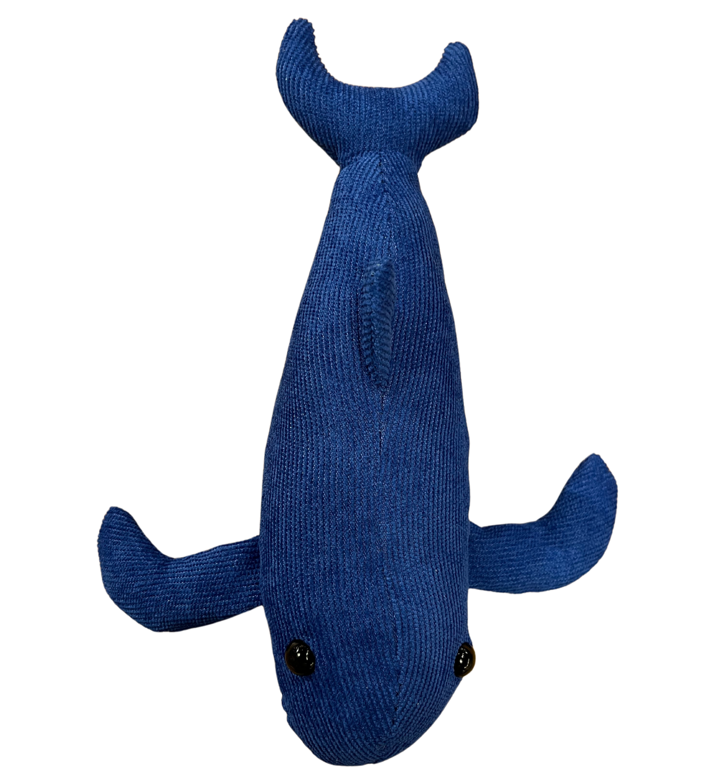 Norwegian blue whale from above