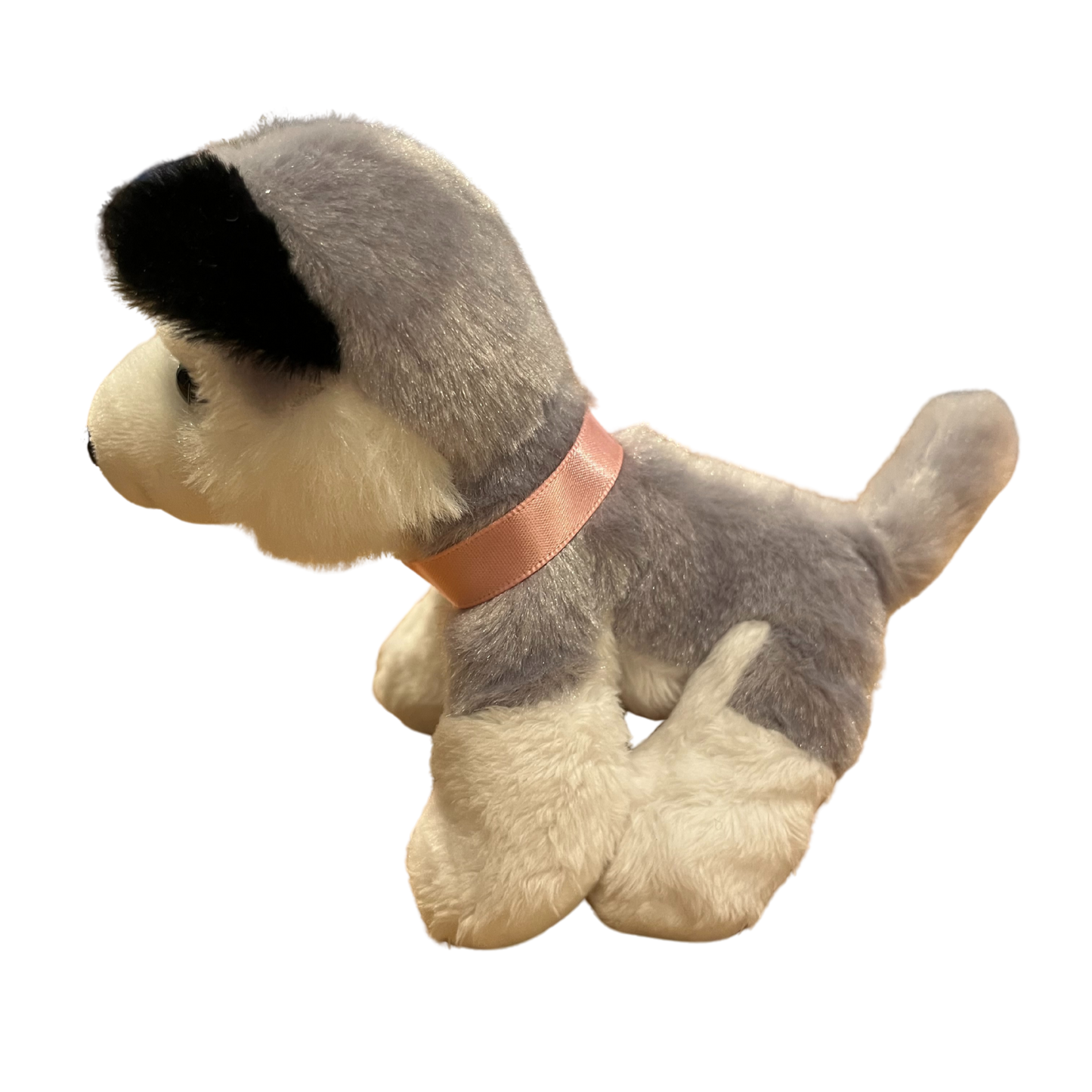 Norwegian_husky with pink ribbon