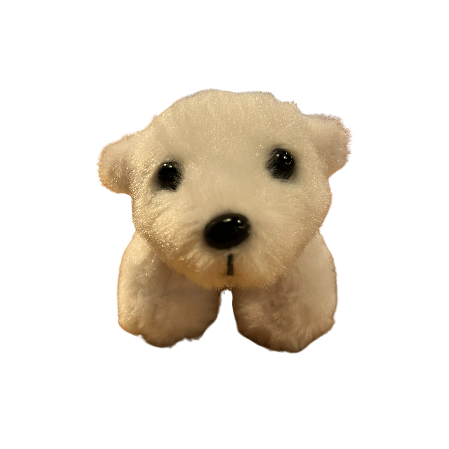 Norway Polar Bear