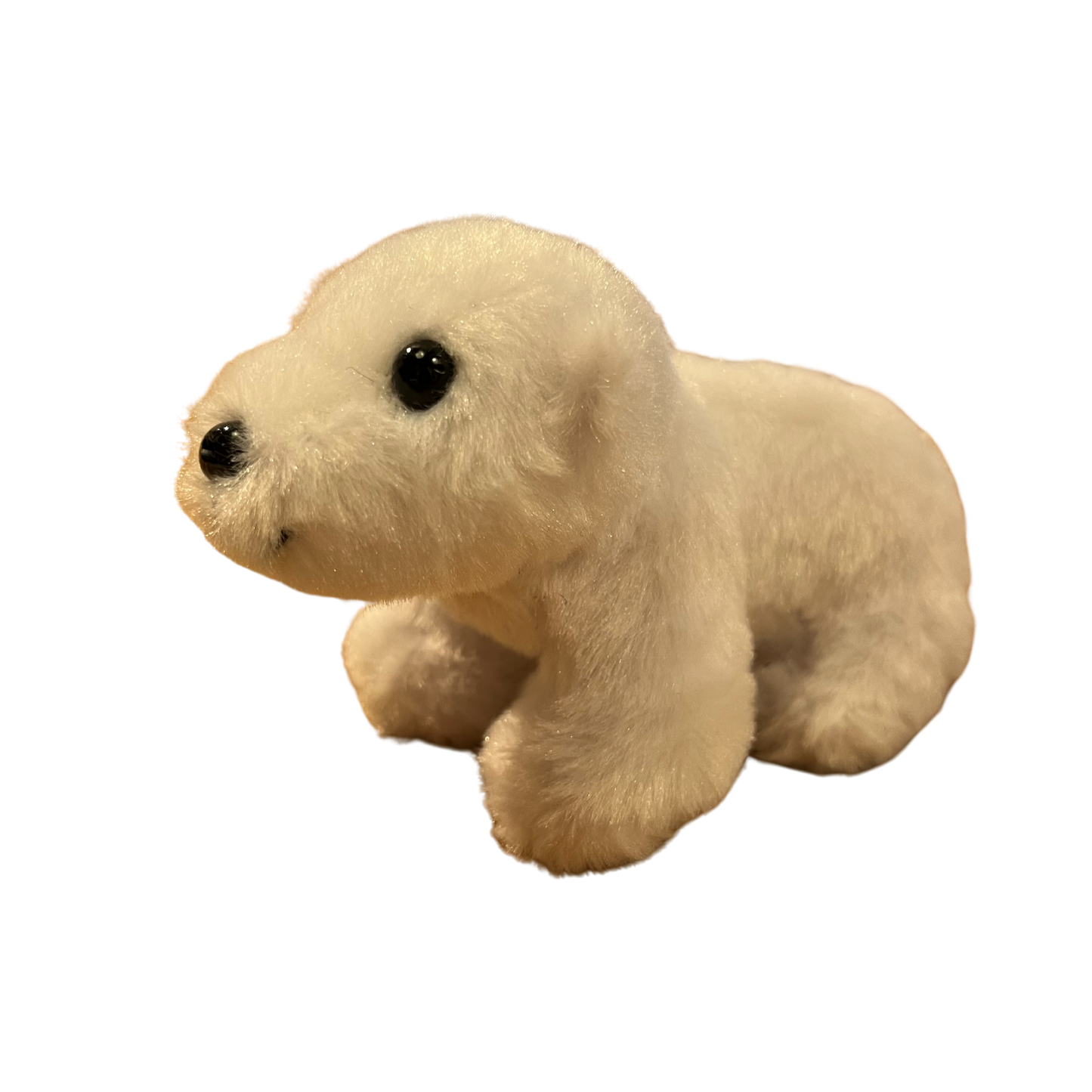 Norway Polar Bear