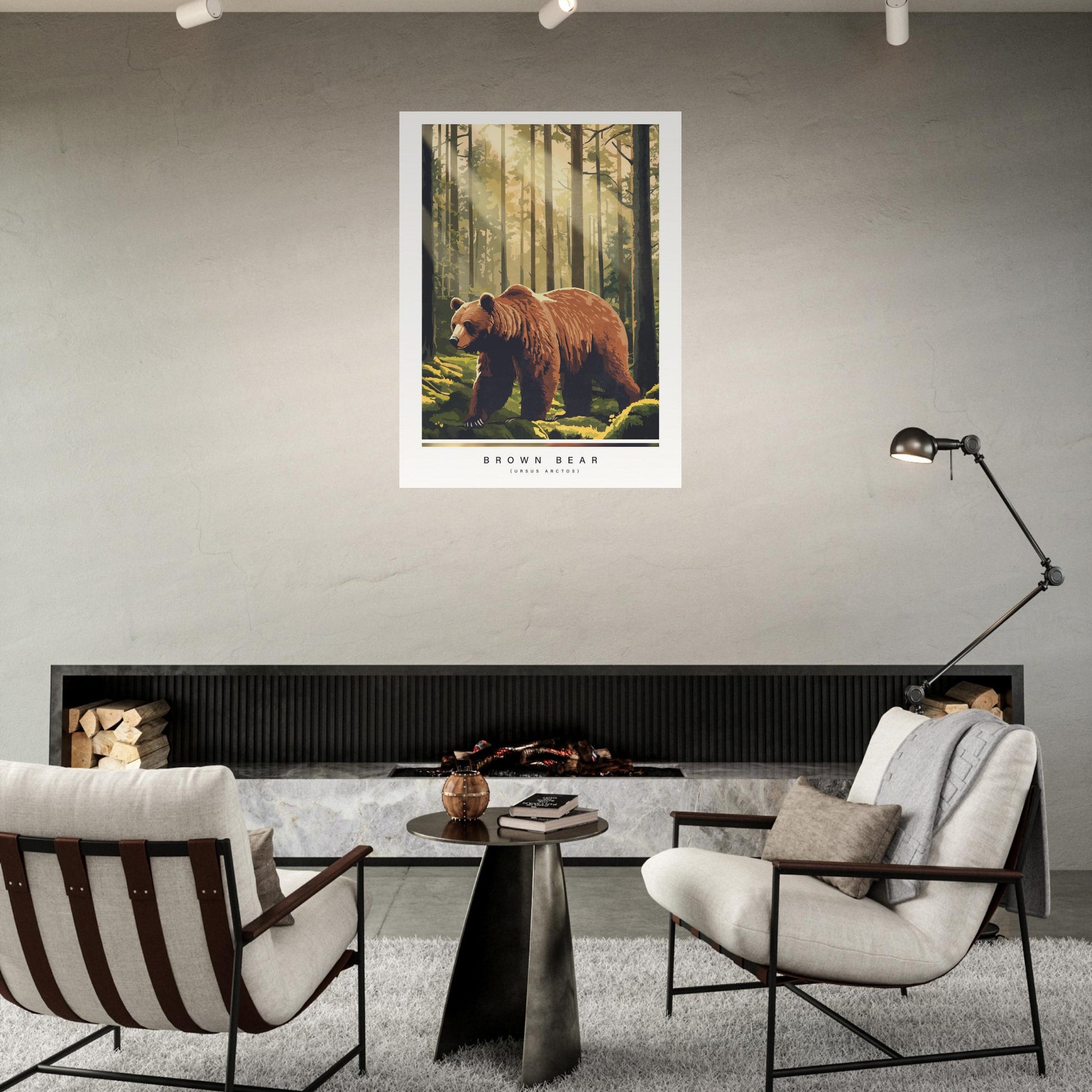 Arctic animals, brown bear on the wall