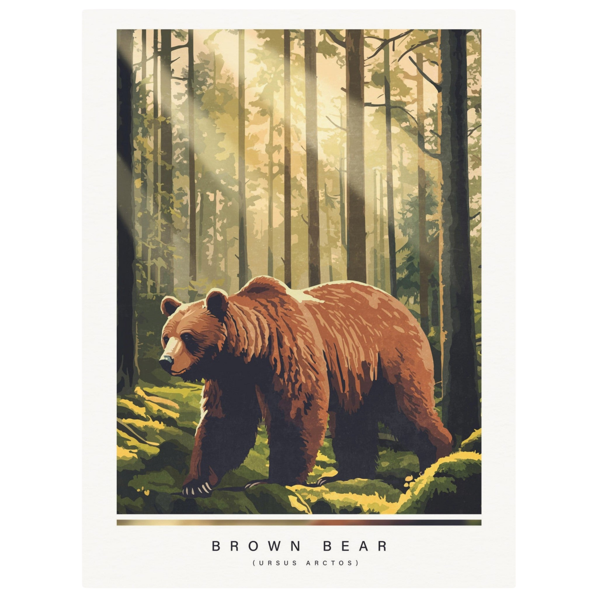 Arctic animals, brown bear