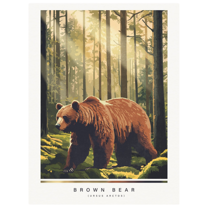 Arctic animals, brown bear