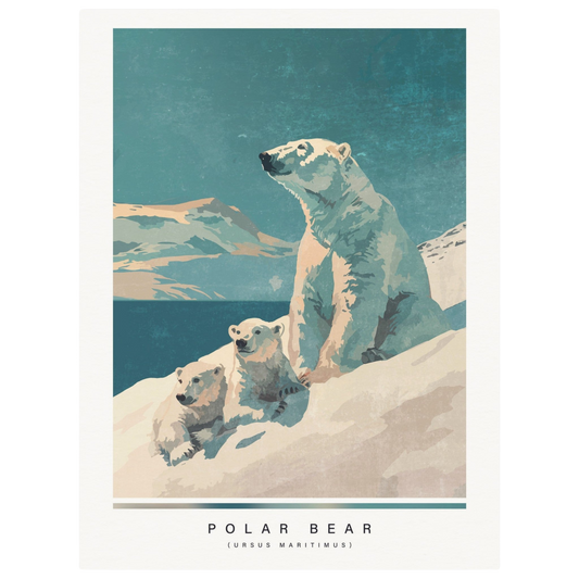 Arctic animals, polar bear