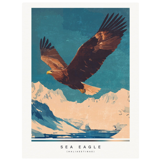 Arctic animals, sea eagle