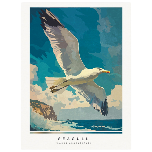 Arctic animals, seagull