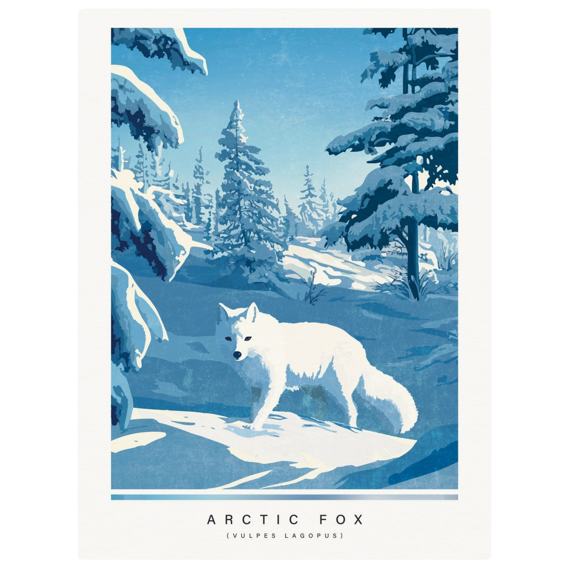 Arctic animals, fox