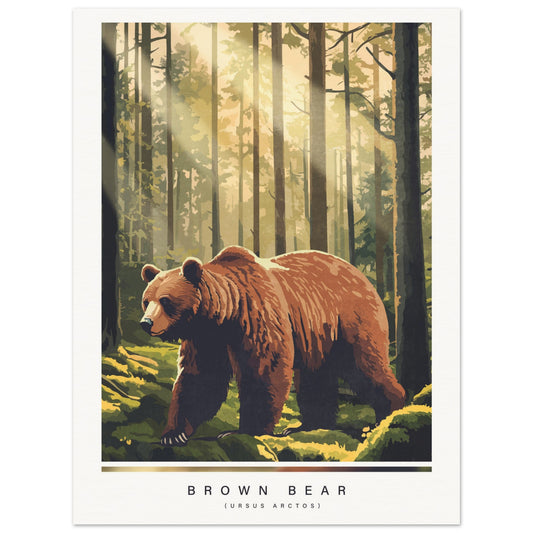 Brown bear in a forest with sunlight filtering through the trees