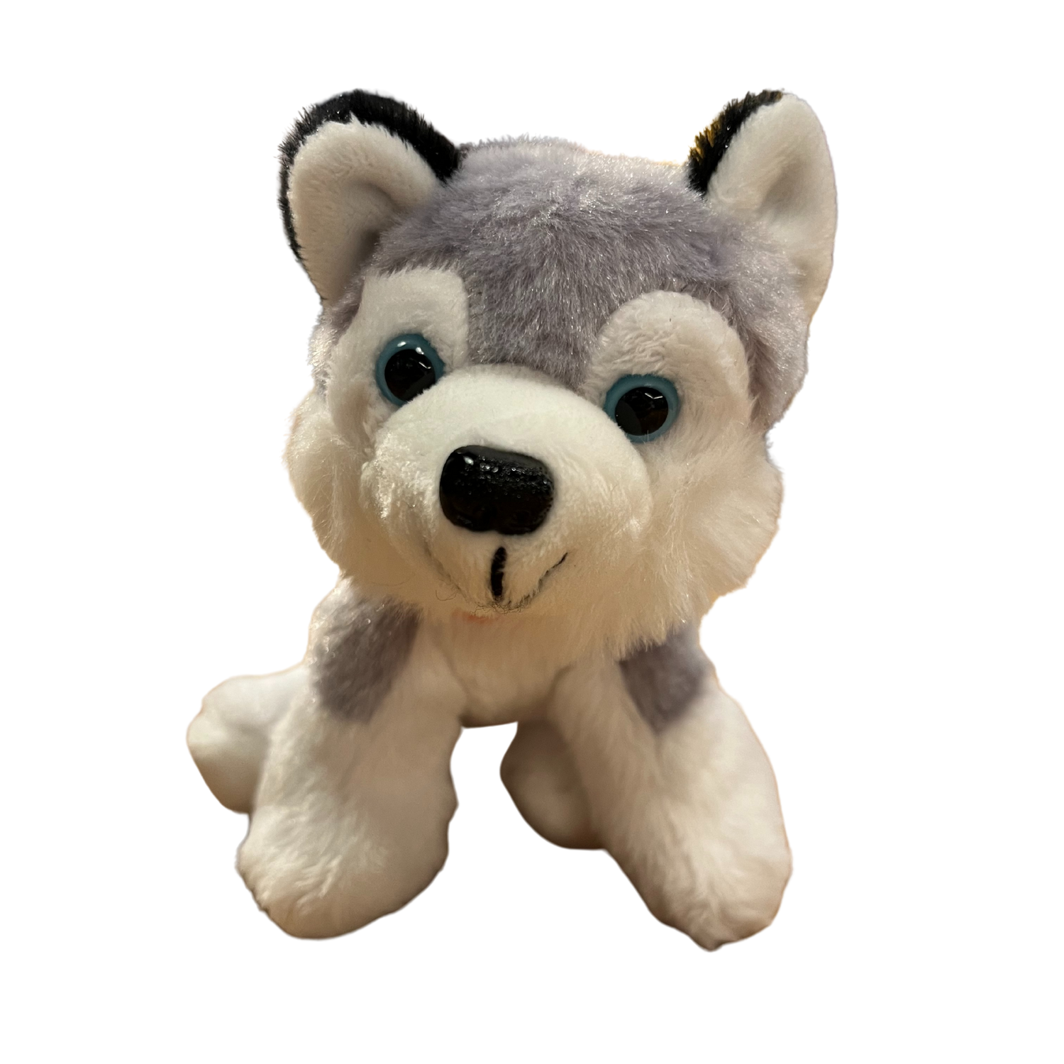 Norwegian husky