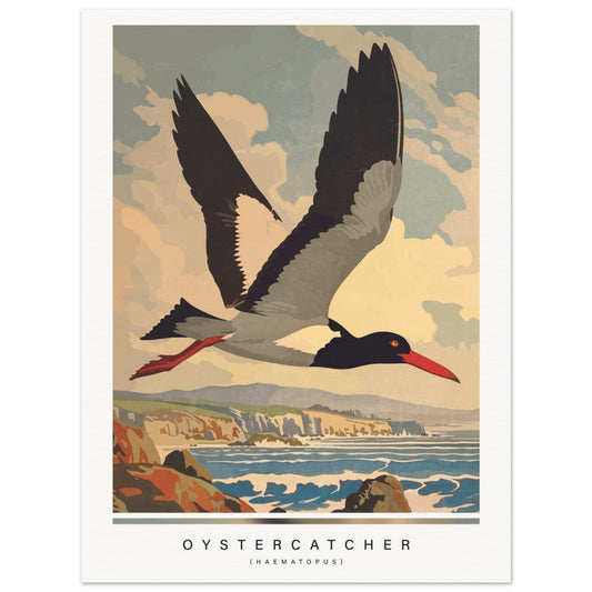 Vintage-style poster of an oystercatcher flying over a coastal landscape.